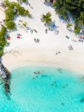 Pavona Maldives